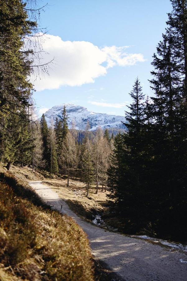Rifugio Malga Ra Stua Βίλα Κορτίνα Ντ' Αμπέτσο Εξωτερικό φωτογραφία