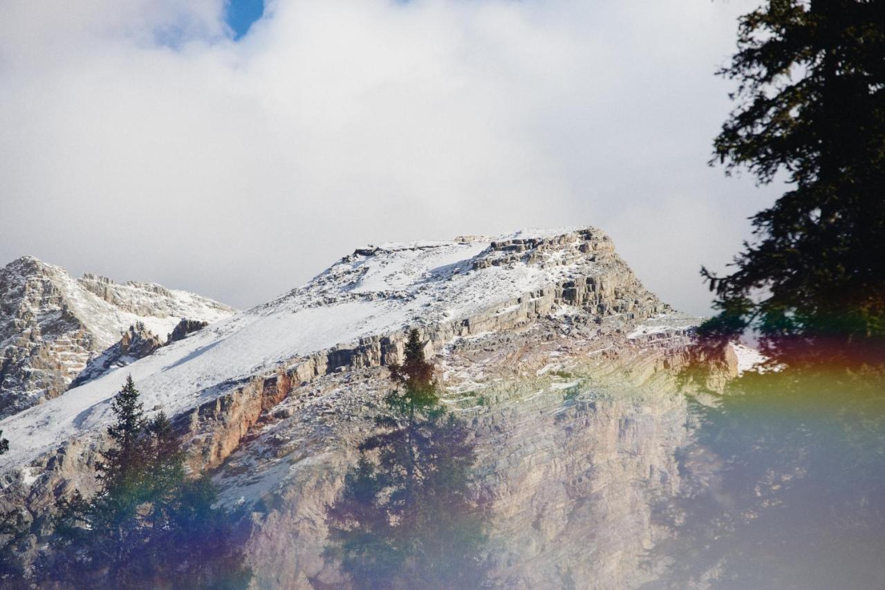 Rifugio Malga Ra Stua Βίλα Κορτίνα Ντ' Αμπέτσο Εξωτερικό φωτογραφία