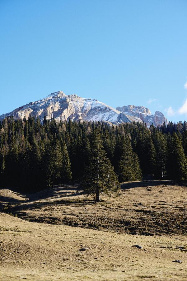 Rifugio Malga Ra Stua Βίλα Κορτίνα Ντ' Αμπέτσο Εξωτερικό φωτογραφία